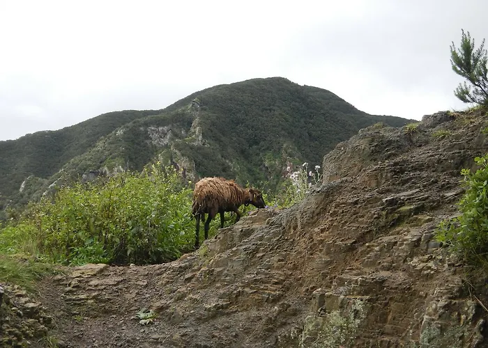 Montes De Anaga Хостел *