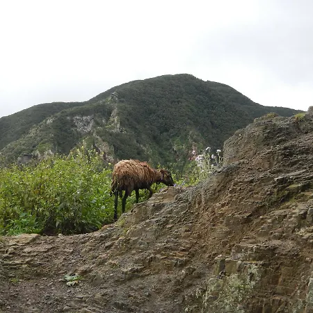 Montes De Anaga Hostel *