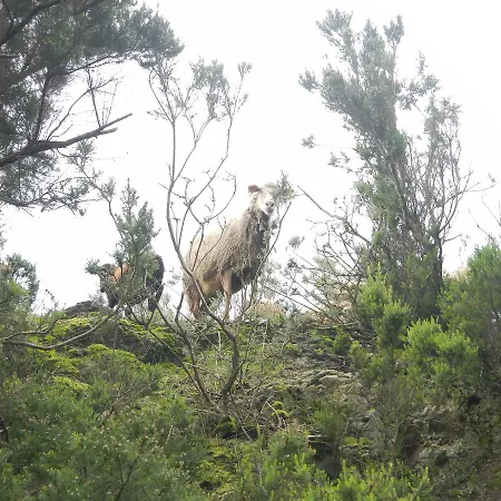 Montes De Anaga *